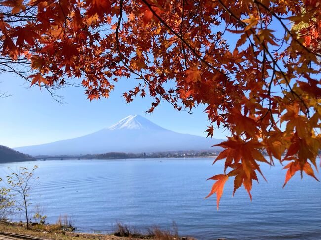 数年前に友達の写真を見てから、いつか私も見に行ってみたいなぁ~と思っていた河口湖の紅葉に行ってきました!