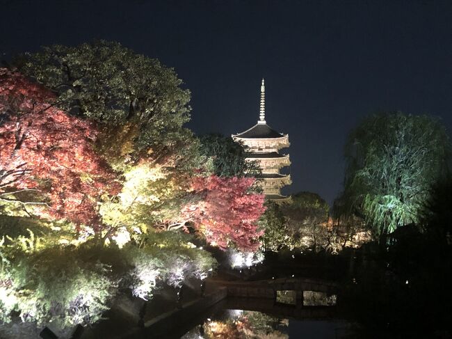 インバウンドが戻ってくる前の最後のチャンスになるかもと、紅葉シーズンの京都を訪れました。<br />今回お世話になった"ザ・プリンス京都宝ヶ池"は洛北の自然に囲まれた静かな場所にあって、ゆったりとした雰囲気が私達のお気に入りです。<br /><br />新幹線で京都に到着後、北大路の人気の洋食屋さんでランチ<br />そのあと一乗寺方面へ。<br />詩仙堂、圓光寺、曼殊院をまわり<br />夜は、東寺のライトアップに出掛けました。<br /><br />すっかり紅葉している木もあれば、まだ緑の葉も残っています。<br />来週にかけて見頃かな。<br />