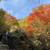秋の箱根散策（１）　湯坂路のハイキング　～湯本から飛龍の滝、芦之湯へ～