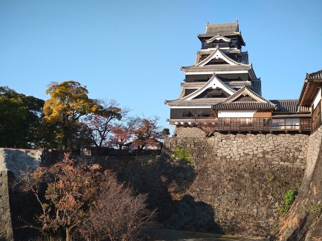 歴史好きの娘が大好きな熊本城。いつかいつかと過ごしているうちに、<br />大地震で熊本城が崩れてしまった。もうだめなのかと諦めていたところ、復旧が始まった。完成を楽しみに待っていた。<br />三年前九州ツアーの途中で、復旧途中の熊本城を外堀からチラッと見る事は出来た。それだけでも十分幸せだったが、やっぱり完成した姿を見たい。<br />高齢の母は公共交通機関を使っての旅行は諦めていたが・・・<br />コロナが少し落ち着いたこの秋、娘が自分の休みに合わせて、一緒に行くことを申し出てくれた。<br />何と旅行費用も出してくれると言う。初めてのうれしい申し出。<br />母の負担にならない無理のない日程で。。<br />全天候に対応できるよう新幹線利用、駅直結ホテルのJRツアーでお得に、<br />で大正解だった。<br />