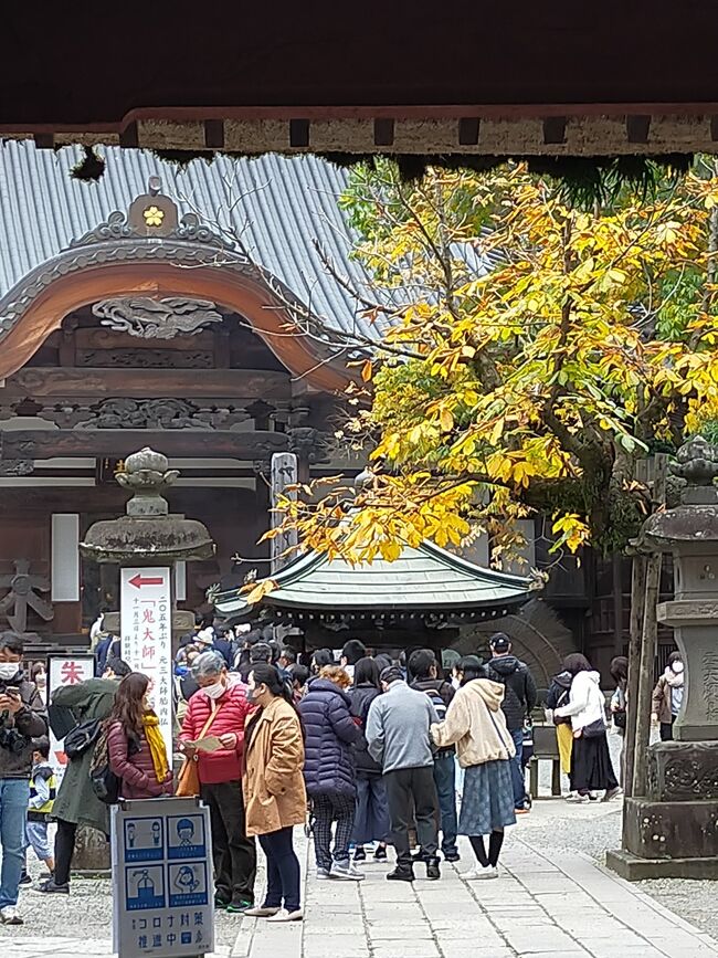今話題の深大寺。<br />以前より、河越夜戦の上杉方の深大寺城として扇ヶ谷上杉家因縁の地に行きたかったのですが、こんなにすごいお寺があるとは知りません。<br />城跡より、ずっと深大寺の境内のほうが東国第一の台密道場、天台宗第18代座主(ざす)<br />慈恵大師良源の胎内仏、鬼大師の205年ぶりの大公開によせて三密パワーに溢れていました。