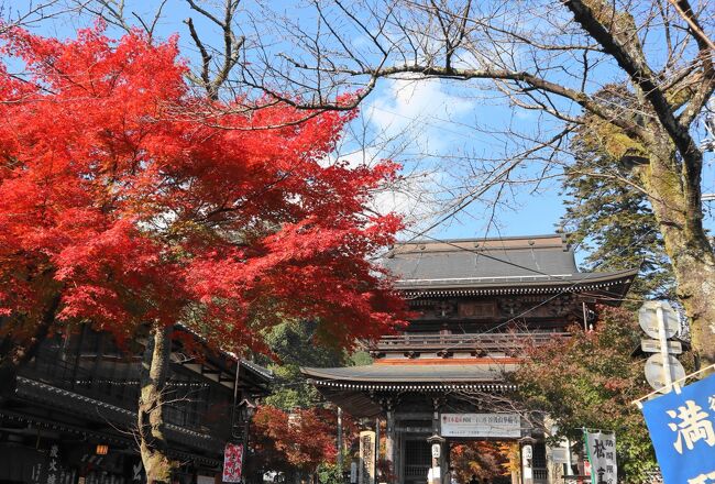 西国三十三所観音霊場の第三十三番札所・谷汲山華厳寺は巡礼の終着駅、結願・満願のお寺です。<br />令和2年7月から巡礼を開始して、無事に結願に辿り着きました。<br />丁度紅葉の最盛期で、境内は目の覚めるような錦に彩られ極上の時間が過ごせました。