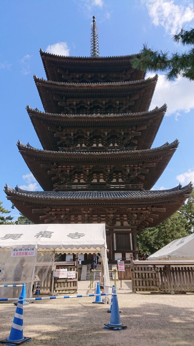 二日目です。今日のメインは、東大寺正倉院の外構 と 興福寺五重塔特別ご開帳 です。<br /><br />ふふ奈良の駐車場を、14時まで使わさせて頂けるそうで利用させてもらい、徒歩で、回ります。<br />とても、良い天気で、気持ちよく参拝できそうです。では、しゅっぱ~~つ!<br /><br />表紙の写真:令和4年に百二十年ぶりの大規模修理に入る予定なので、調査の ために五重塔の心柱の周りに安置されている仏像を拝めました。