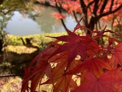 京都紅葉名所10景 D-3 下鴨神社&南禅寺