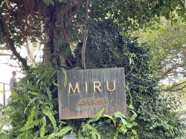21年 再びの奄美大島 Miruamami滞在 後編 奄美大島 鹿児島県 の旅行記 ブログ By B Bさん フォートラベル 21年 再びの奄美大島 Miruamami滞在 後編 奄美大島 鹿児島県 の旅行記 ブログ By B Bさん フォートラベル