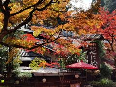 秋の京都・貴船 洛北紅葉の里山 2021年11月