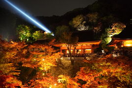 紅葉シーズンの京都旅行。嵯峨嵐山散策後、ライトアップの清水寺へ