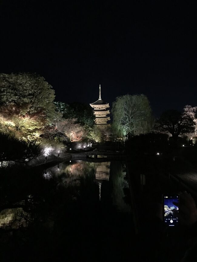 紅葉の京都 １