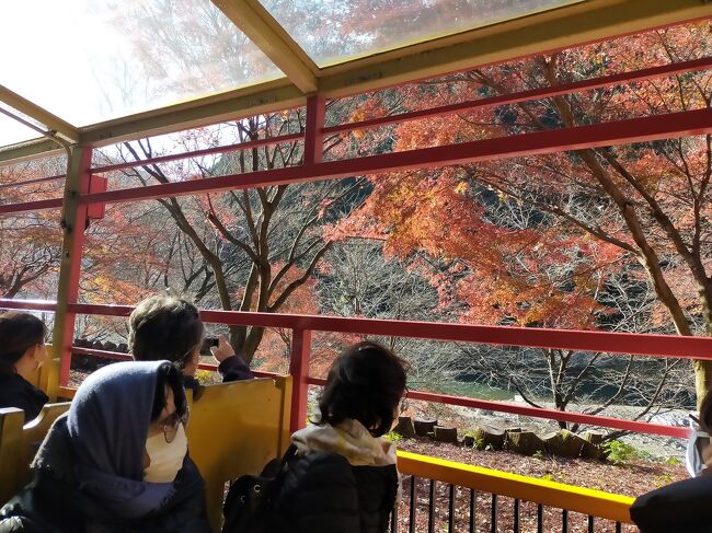 京都旅行の最終日は、京都駅から亀山へ移動し、ネットで事前に予約したトロッコ列車で保津川を下り、紅葉列車による紅葉狩りを楽しんだ後、嵐山で観光しました。