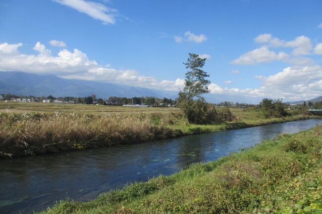 諏訪大社と安曇野の川がある風景<br />安曇野の川がある風景　万水川<br />紅葉の功徳林大洞山「霊松寺」ボランティアの説明員から色々とお話が聞けた<br />大町温泉でゆっくりと温泉に浸かり<br />大王わさび農場を散策<br />諏訪大社上社本宮に御参り<br />大町山岳博物館は高台にあり大町の街と北アルプスが一望にみることができる<br />大町アルプスマラソンに参加