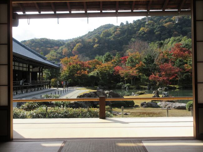 京都往復新幹線プラス6泊宿泊合わせて4万円という価格のサイトに飛びつき、2年ぶりに京都に行ってきました。コロナ感染が落ち着きつつあることもあり、嵐山周辺はとても賑わっていました。そんな密なエリアをできるだけ避け、訪れたのは神泉苑、二条城、壬生寺、天龍寺、野宮神社、妙心寺、大覚寺、桂離宮、鈴虫寺、地蔵院、延暦寺・横川エリア、錦市場です。時間に余裕があったので京都駅ビル内も散策し、午前中1か所、午後1か所を原則に、ゆっくり散策と寺巡りを楽しみました。この旅行記は3日目の天龍寺、竹林、野宮神社をまとめたものです。