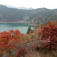 冬桜の宿 神泉に関する旅行記 ブログ フォートラベル 本庄 上里