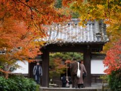 20211123-4 京都 最勝院の紅葉と、奥之院の静けさと
