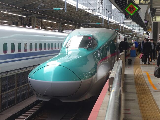 北海道新幹線(東京-新函館北斗)、特急北斗(函館-札幌)、特急宗谷(札幌-稚内)を乗り継ぎ、日本最北端の稚内まで鉄道で旅してきました。<br />東京から稚内まで3日間で1,547kmの景色を楽しみ、時間を贅沢に使う旅となりました。<br /><br />今回は東京から函館までです。<br /><br /><br />11/10(水)<br />東京 9:36-新函館北斗13:33 東北北海道新幹線はやぶさ13号<br />新函館北斗13:47-函館 14:02 函館本線快速はこだてライナー<br />函館市内観光(五稜郭)<br />東急ステイ函館朝市 灯の湯泊<br /><br /><br />11/11(木)<br />函館市内観光(朝市、赤レンガ倉庫)<br />函館 12:15-札幌 16:04 特急北斗11号<br />JRイン札幌駅南口泊<br /><br /><br />11/12(金)<br />札幌 7:30-稚内 12:40 特急宗谷<br />宗谷岬までレンタカーでドライブ<br />ドーミーイン稚内泊<br /><br /><br />11/13(土) <br />稚内 6:36-旭川 10:19 サロベツ2号<br />旭川 10:30-札幌 11:55 ライラック18号<br />札幌 14:00-新千歳空港14:37 快速エアポート140号<br />新千歳空港21:40-羽田空港 23:25 NH988