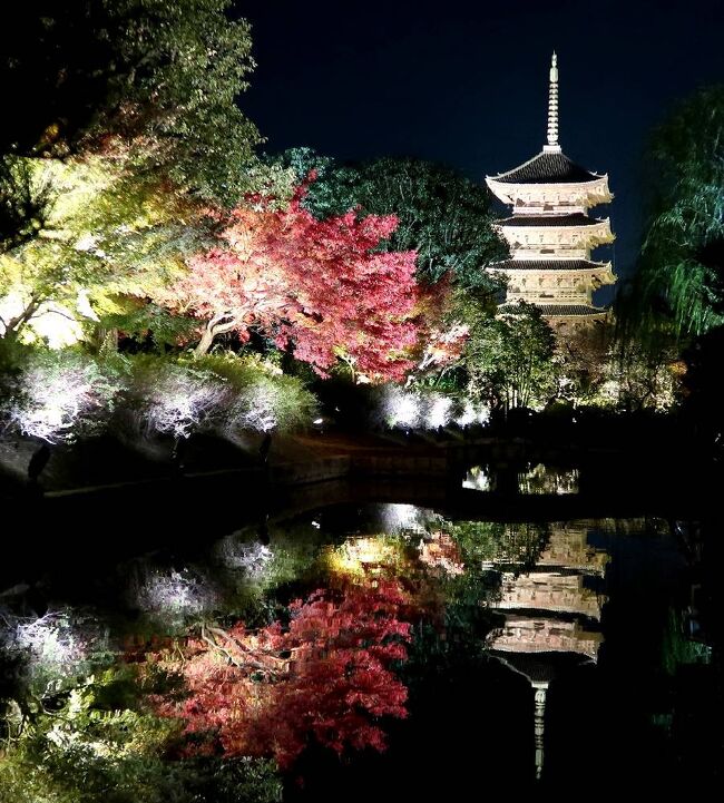 今年(2021年）の紅葉の旅は宝川温泉で終わりにすると思っていたが、京都からの紅葉だよりを見聞きすると、去年行きそびれた長岡京の光明寺や改装明けの清水寺のライトアップなどを見に行きたくなり、急遽訪れることを決めました。今回は車を使わずに往復バスでの3泊３日（帰路車中泊）の旅行となりました。<br />第五部は、二日目の最後に、東寺のライトアップを見に出かけた時の旅行記です。（表紙写真は、ライトアップされた逆さ紅葉＆五重塔）