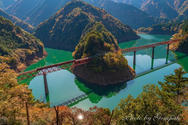 前日（11月15日）に所用で実家がある静岡県に出かけた。ついでなので、60年ぶりに静岡県の秘境と言われる大井川上流エリアを訪れてみた。<br />初日は、接阻峡の大井川鉄道井川線の無人駅、奥大井湖上駅で、撮り鉄気取りでレインボウブリッジを渡るトロッコ列車を撮影、翌日は寸又峡温泉から徒歩30分ほどのところにある夢の吊り橋周辺の紅葉撮影を楽しんできた。