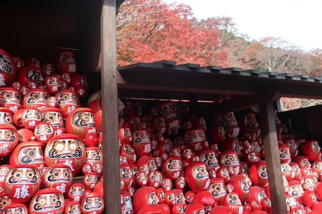 ６年ぶり３回目の勝尾寺へ。<br />土日の紅葉シーズンに来てしまって、人！人！人！すごい人と渋滞でした。外国人の方がめちゃくちゃ多かったです。<br /><br />勝尾寺<br />https://katsuo-ji-temple.or.jp/