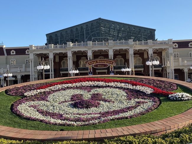 ディズニーランドへ行く予定はありませんでした。<br />明日、どこかにマイルを利用してお出掛けしますが、前泊が必要なので14時頃東京駅にきました。<br />時間あるけど何しよう?<br />祝日の為、ディズニーパークチケットsold out。<br />バンクシーって誰?展の鑑賞も考えましたがこちらもsold out (>_>)<br />うーん(u_u) … どうしよう?<br />なんだかんだ言ってもやっぱりディズニーが好き♡<br />足は自然と舞浜へ向きます。<br /><br />14時半過ぎ、舞浜駅を出てサイト確認したら、ディズニーランドのパスポート再販中、えーっ(・・?)<br />すぐポチッとしてインパ決定!<br />短い時間でしたが満喫しました♪(๑ᴖ◡ᴖ๑)♪<br /><br />それにしても、チケット代高いよ~(T . T)<br />パーク内はクリスマス..。.:*☆<br />