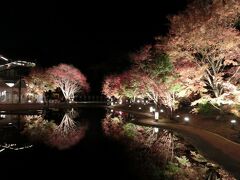 秋の松島　紅葉と牡蠣三昧の旅（前編）