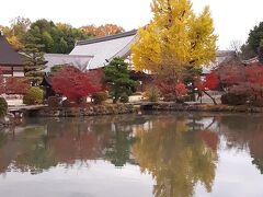 虎渓山　紅葉　永保寺