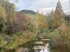 松山高知旅その3   吉良川まちなみと室戸岬、北川村モネの庭