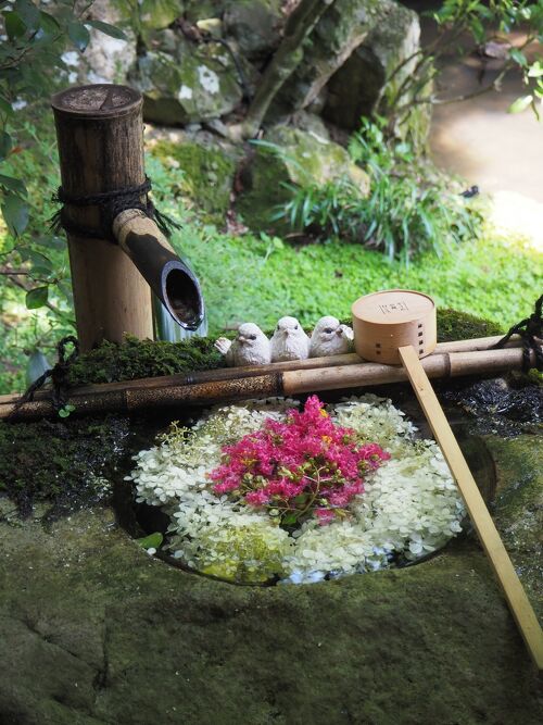 2021年 るなさんと駆け巡る夏の京都【2】花手水＆食べ歩きとGUCCI