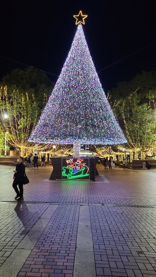 市川市から多摩センターに移動しました。多摩センタ駅は京王、小田急、モノレールがあり賑やかです。丘陵に街が延び、早くもクリスマスモードの通りは若者で溢れかえり、とても活気がある街でした。