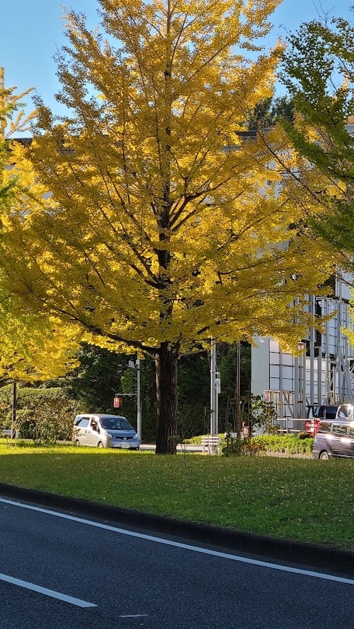 多摩から羽田 羽田 東京 の旅行記 ブログ By トットさん フォートラベル