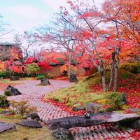 はじめての仙台で紅葉とグルメを大満喫★2日目は松島へ