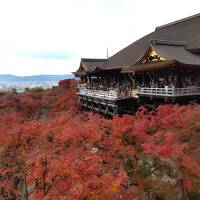 紅葉の京都 (1)   八坂神社・高台寺・圓徳院・清水寺