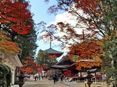 南紀の旅③　紅葉の高野山