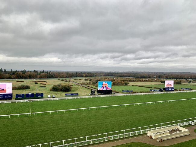 ロイヤルアスコットでお馴染みのアスコット競馬場は1711年8月11日に大の馬好きのアン女王がロンドンから36マイル東にあるバークシャーのアスコットに競馬場を作りました。 イギリス王室が所有しているので毎年6月にはロイヤルアスコットが開催される。 2004-2005年に480億円の巨額を費やしてスタンドやコースが改築されて、まるでスタジアムにいるような感じです。 僕の生まれて育った船橋には競馬場をはじめ競輪、オートレース,競艇があるギャンブルの町です。 子供心にセンター競馬場の駅前の立ち飲み飲み屋で競馬新聞と赤鉛筆を持った中年男性が安酒をあおって酔っぱらっているのを見ていたので競馬に興味を持ったことがなく、友人に招待されたときは初めての経験にワクワクしました。 アスコット競馬場はドレスコードがあり男性はネクタイにジャケット着用。 あまりに日本の競馬場の雰囲気とかけ離れているのにびっくりしした。 ここは紳士淑女の社交の場でシャンペンを片手にレースと楽しみます。 7レースあり結局少額ながら勝ったのでタイパブに行き勝利を祝いました。