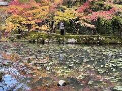 京都歩き2021  祇園-知恩院-青蓮寺-天授庵-祇園なん波