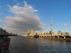 夕暮れ時のスカイツリーと亀戸天神の菊祭り