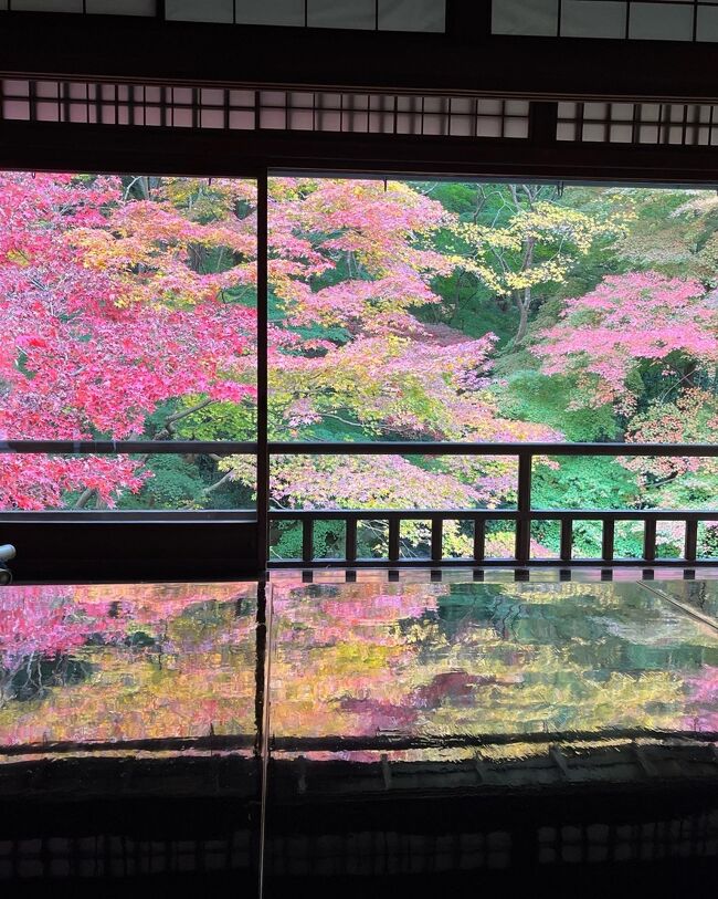 SPGの無料宿泊券を使って、初めて京都の紅葉を堪能してきました。