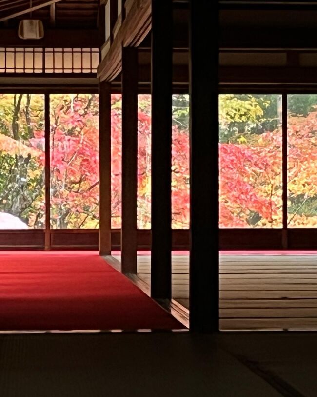 SPGの無料宿泊券を使って初めて京都の紅葉を堪能してきました。<br />今日は二日目です。