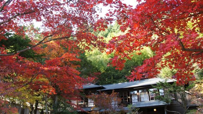 　日光東照宮、二荒山神社と寺院巡りをした後は、今日の宿泊地「ふふ日光」ホテルへと進みます。歩くのはロマンチック街道（国道１２０号線）、紅葉の山道を眺めながらの散策です。<br />　最初に立ち寄ったのは「金谷ホテル歴史館」。この館は日本最古のリゾートホテルとして有名な「日光金谷ホテル」の歴史を伝える資料館になっています。金谷ホテルは明治６年に創業者の金谷善一郎氏が自宅を改装して外国人向けの民宿として「金谷カッテージ・イン」をこの地に建てたところから始まります。その後明治２６年に現在の地（神橋近く）に「金谷ホテル」を本格的にオープンしました。<br />　金谷ホテル歴史館ではこの１５０年にもおよぶホテルの貴重な歴史を展示しています。ちなみに歴史館の建物自体は約３６０年前に建てられた江戸時代の武家屋敷です。<br />　そして、日本の歴史公園100選「田母沢御用邸」。<br /><br />私のブログ『World TraveRunner★世界一周★』でも紹介しています。<br />https://world-traverunner.com/archives/9867