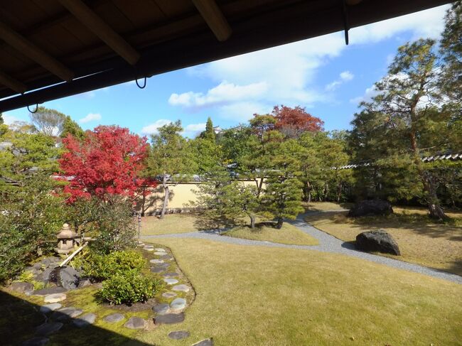 紅葉を楽しむために姫路城西御屋敷跡庭園「好古園」を訪れました。<br />その中にある「双樹庵」と言う茶室でお茶をいただき残りの庭園を散策しました。<br />好古園は現在、紅葉会が開催されていて20時まで夜のライトアップが行われています。私は日中の紅葉を楽しみましたが、お時間がある方は夜のライトアップも楽しんでください。兵庫県では有名な紅葉のライトアップの場所になっています。<br />ゆっくり見て歩いて約1時間半くらいでしょうか。<br />今月一杯は十分に楽しめると思います。