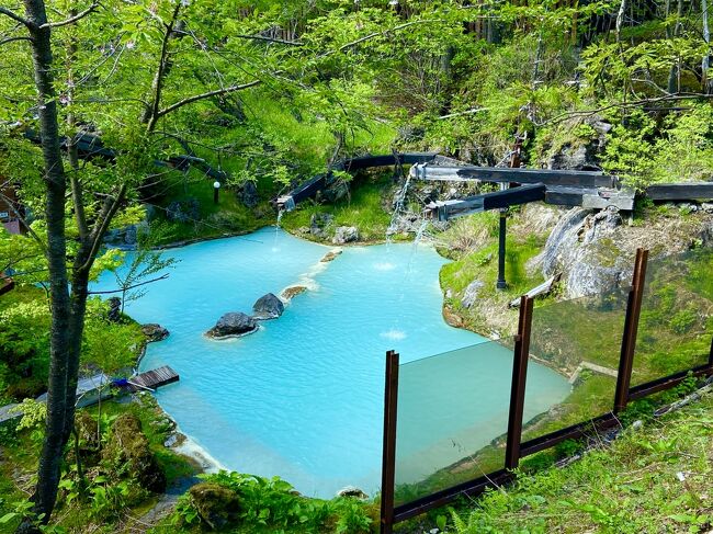 5月の爽快な気候の乗鞍高原とあこがれの白骨温泉「泡の湯」に泊まって最高の露天風呂を満喫しました。