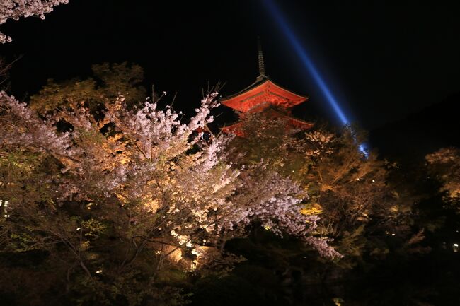 南禅寺・高台寺を見てから最後に清水寺のライトアップを見ました。