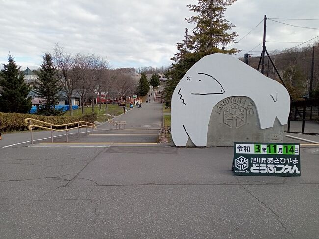 旭山動物園２Ｄａｙパスポートを利用して動物園三昧