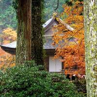 紅葉シーズンの京都旅行。雨の日の大原三千院、寂光院。