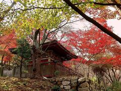 団塊夫婦の日本紅葉巡りの旅・2021京都ー（７）少し足を伸ばして滋賀の三井寺へ