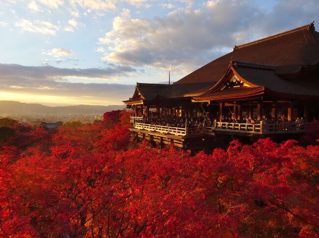 京のお散歩　　７　　清水寺