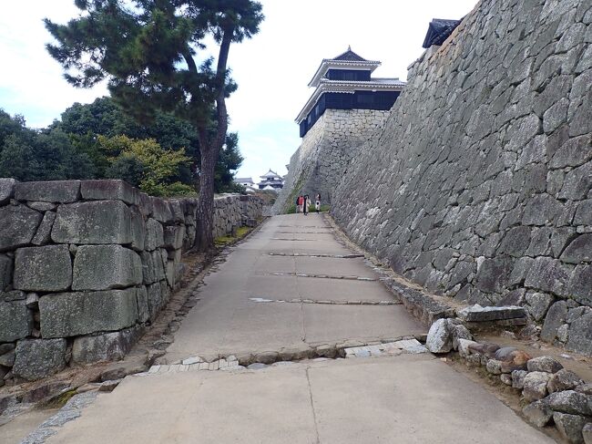 念願だった四国4県を初めて訪れたのは昨年の秋。<br />それから1年。9月に仙台空港へ行った際にふと目についた仙台ー松山の路線。<br />そういえばアイベックエアラインが路線を新設するってニュースを聞いたような。<br />そして時刻表を確認すると1日1往復とはいえ<br />仙台発が朝。そして仙台着は夜!<br />なんと1泊でも十分愛媛・四国に行けちゃう~。<br />これは見逃せません。<br />今までアクセスが悪く距離以上に遠く感じた四国ががぜん近づいたよ!<br /><br />というわけで週末1泊2日で愛媛へ。<br />昨年の旅行では愛媛は道後温泉へ泊りしまなみ海道を広島まで通っただけ。<br />2度目の愛媛は<br />西の伊達家の宇和島城などのお城めぐり。<br />そし四国最西端佐田岬灯台まで行って九州を見たい。<br />また去年雨のため断念した下灘駅。<br />2日間だけどまたまた盛りだくさん。<br />お天気にも恵まれ良い旅が出来ました。<br /><br />コロナの感染も少し落ち着いた状態になって<br />松山城にはたくさんの修学旅行生の姿もありました。<br />日常がこのまま戻れば良いな~。<br /><br />10/31 仙台空港8:20発ー松山空港着9:55着 <br /> IBEX 021<br /> レンタカーで出発<br /> 夕やけこやけラインで下灘駅<br /> その後佐田岬メロディーライン経由佐田岬灯台。<br /> 大洲城と街並を少し散策<br /><br /> 大洲プラザホテル泊<br /> <br /> <br />10/31 宇和島城<br /> 内子座見学<br /> 松山城<br /> 石手寺<br /><br /> 松山空港19:45発ー仙台空港21:25着<br /> IBX020<br /><br />航空券:アイベックスエアラインHPから早割予約<br /> 往復1人24,960円<br /><br />ホテル:大洲プラザホテル<br /> ツイン禁煙ルーム(朝食サービス)<br /> 大人1名5500円(諸込)×2名<br /> 9/27 ホテルHPより予約<br /><br />レンタカー:トヨタレンタカー 2日間 12,540円<br /> <br />この旅行記では2日目午後から松山市内へ。<br />リフトで上り松山城へ。<br />その後フライト時間まで石手寺へ。<br />松山城の賑やかさに驚き<br />石手寺の不思議空間を彷徨いました。<br />楽しみにしていた蛇口からみかんジュースも味わえました。<br /><br />備忘録としての旅行記です。<br />シツコクなるのをお許し下さい。
