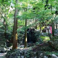 遠望峰山登山…幸田駅から蒲郡駅まで歩いてみた