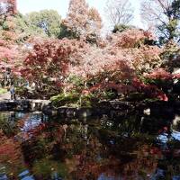 Ｌ　ＮＯＶ　２０２１　　晩秋Ⅱ・・・・・①大田黒公園