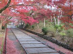 2021.11.25 木　京都紅葉　毘沙門堂・将軍塚大日堂、智積院、北野天満宮