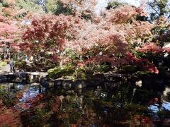 Ｌ　ＮＯＶ　２０２１　　晩秋Ⅱ・・・・・①大田黒公園