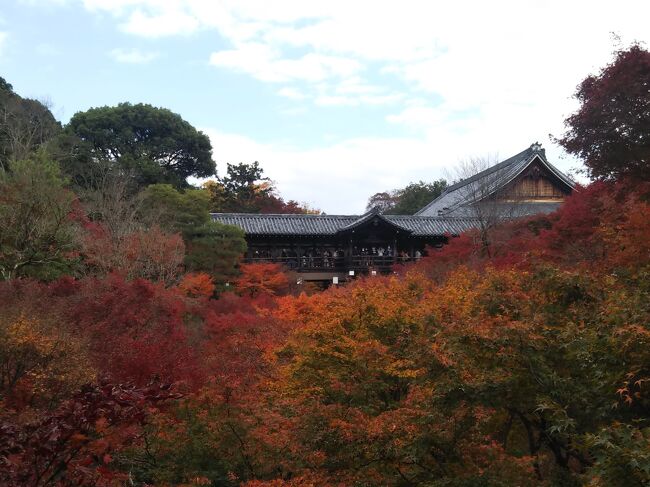 2021年11月  母娘で行く京都紅葉寺社巡り